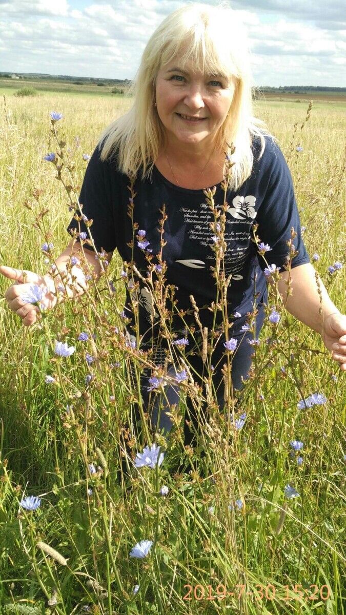 ���� 22491626 ������� �����, 102 ����, ���� ���������� � �������������