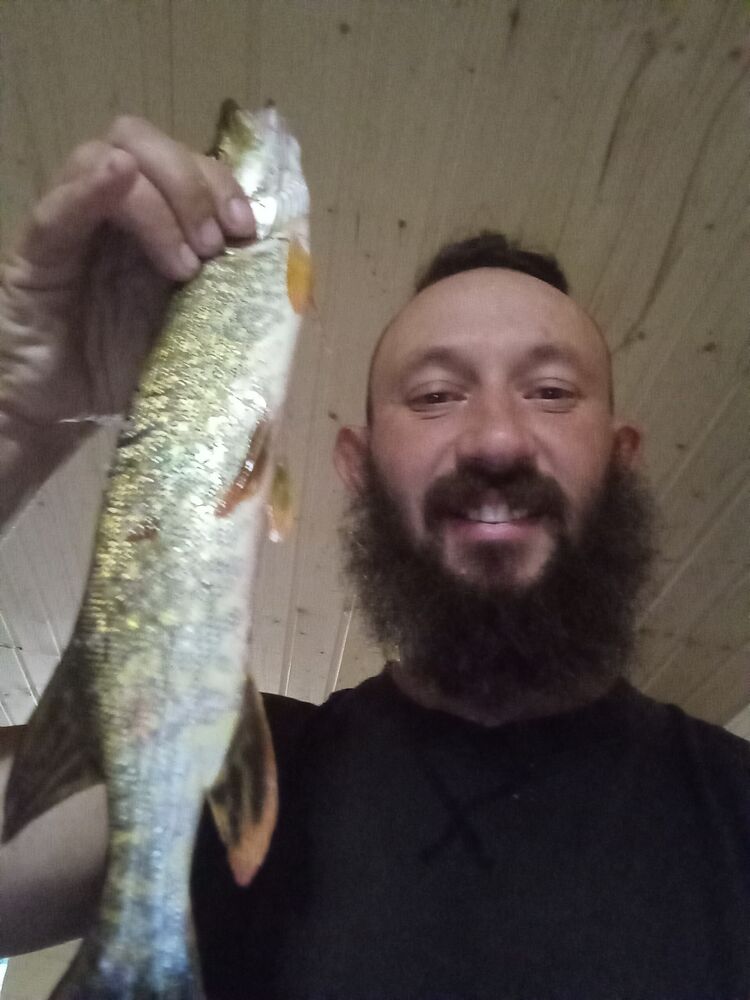  -,   , 36 ,   ,   