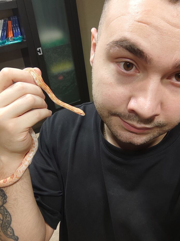 ���������� ������, ���� ������� ����, 27 ���, ������������ ��� ������, c�������� ���������, ���������