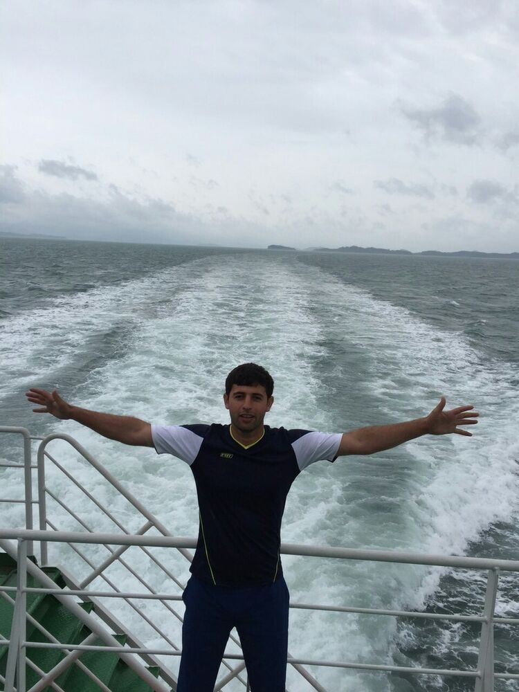 ���� 8581296 ������� Jomi, 40 ���, ���� ���������� � �������