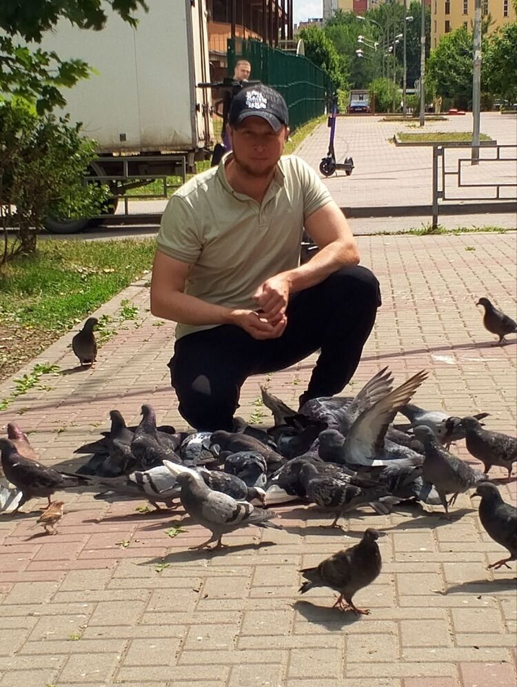 ���� 55689246 ������� �������, 34 ����, ���� ���������� � ��������