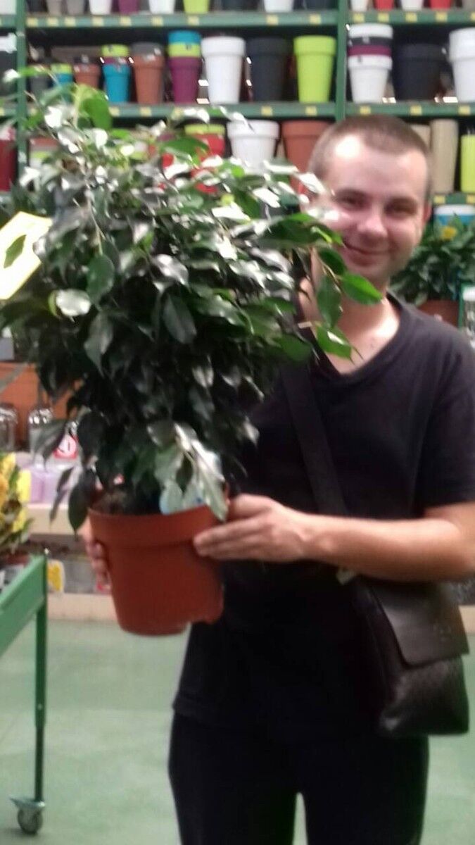 ���������� ����, ���� ������� ����, 35 ���, ������������ ��� ������, ����� � ���������, c�������� ���������