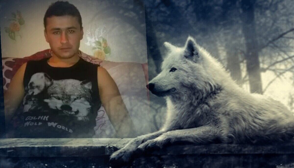  -,   , 32 ,   ,   , c 