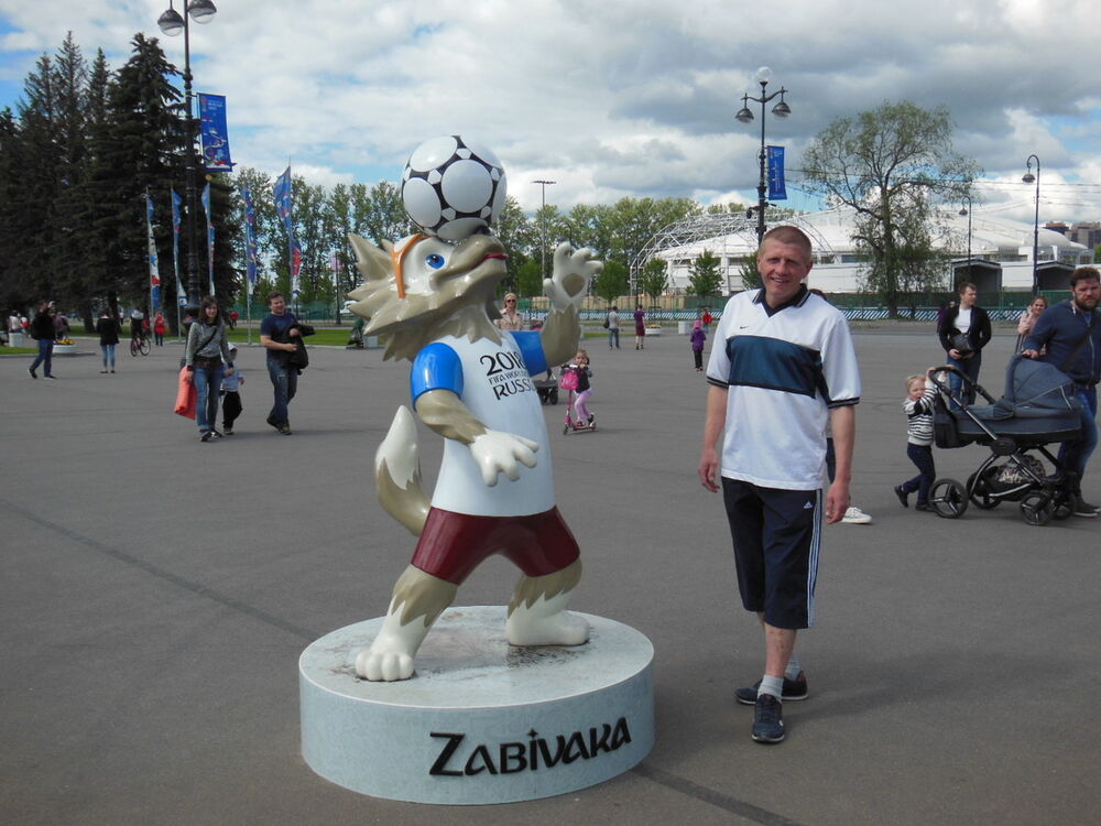  9846506  , 43 ,    -