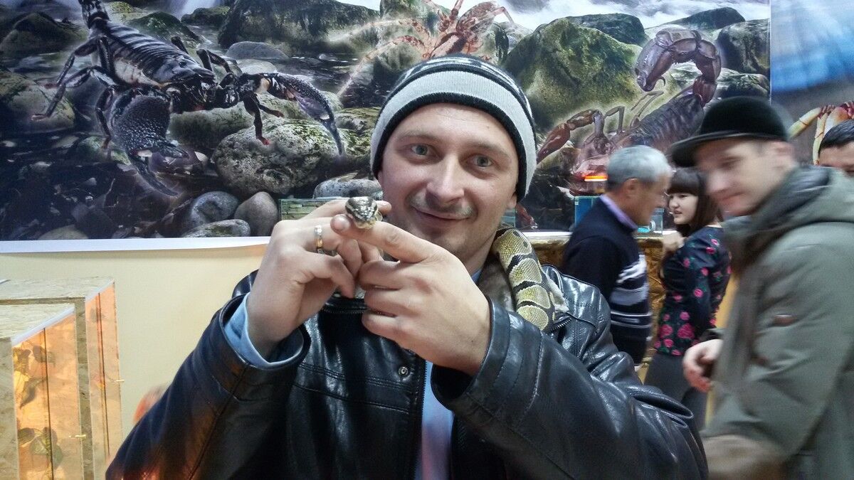 ���������� ����, ���� ������� ��������, 44 ����, ������������ ��� ������, ����� � ���������, c�������� ���������