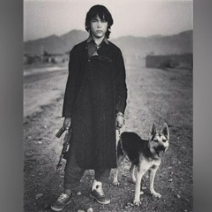 ���� 33523386 ������� ������, 35 ���, ���� ���������� � �������