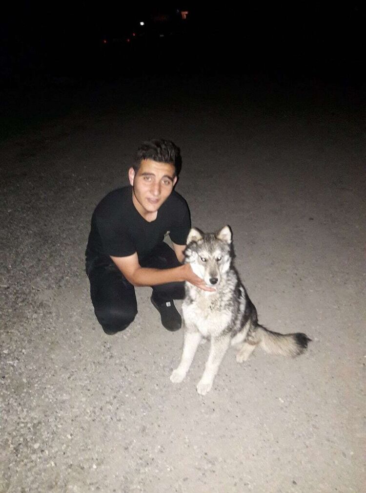 ���� 21447776 ������� ������, 26 ���, ���� ���������� � �������