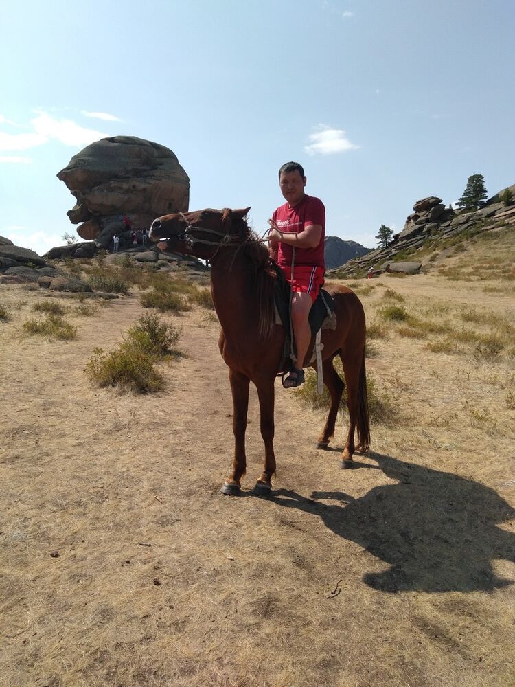 ���� 18681196 ������� ������, 43 ����, ���� ���������� � ���������