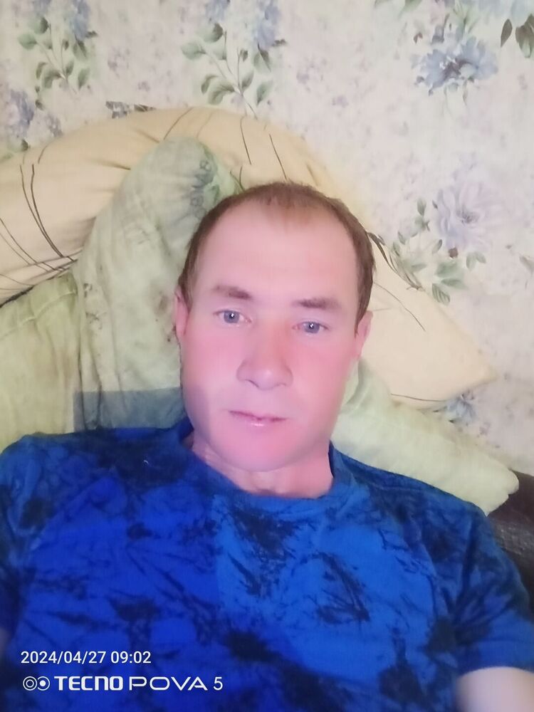  43433266  , 38 ,    
