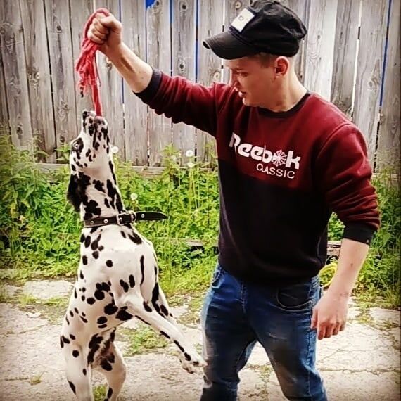 ���� 35063966 ������� �����, 27 ���, ���� ���������� � �������