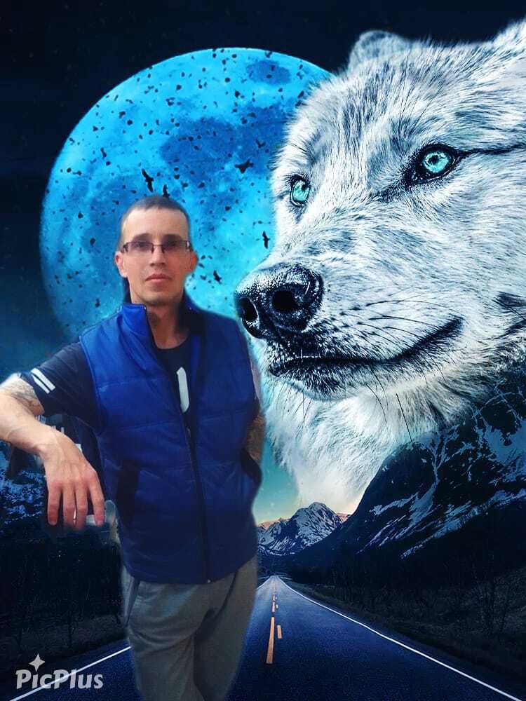  45324396  , 43 ,    