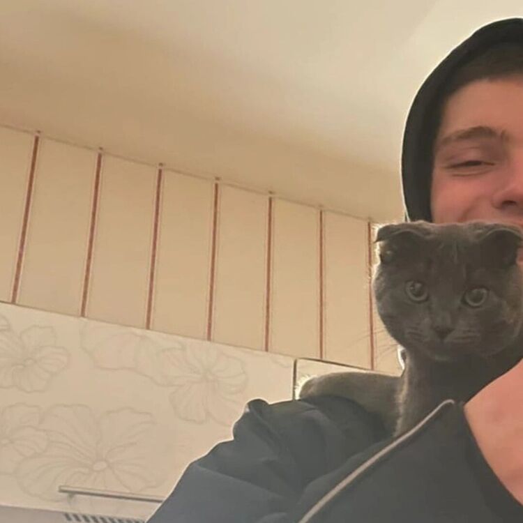 ���������� �����-���������, ���� ����� ������, 23 ����, ������������ ��� ������, ����� � ���������, c�������� ���������