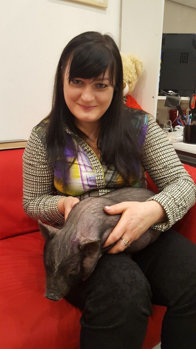 ���������� �����-���������, ���� ������� �����, 50 ���, ������������ ��� ����� � ���������, c�������� ���������