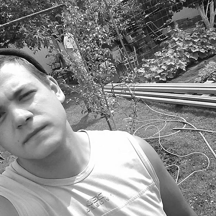  37087536  , 24 ,    