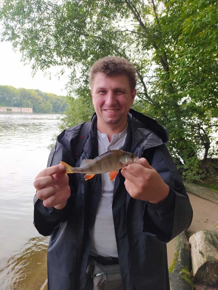 ���� 38688636 ������� �������, 41 ���, ���� ���������� � ������