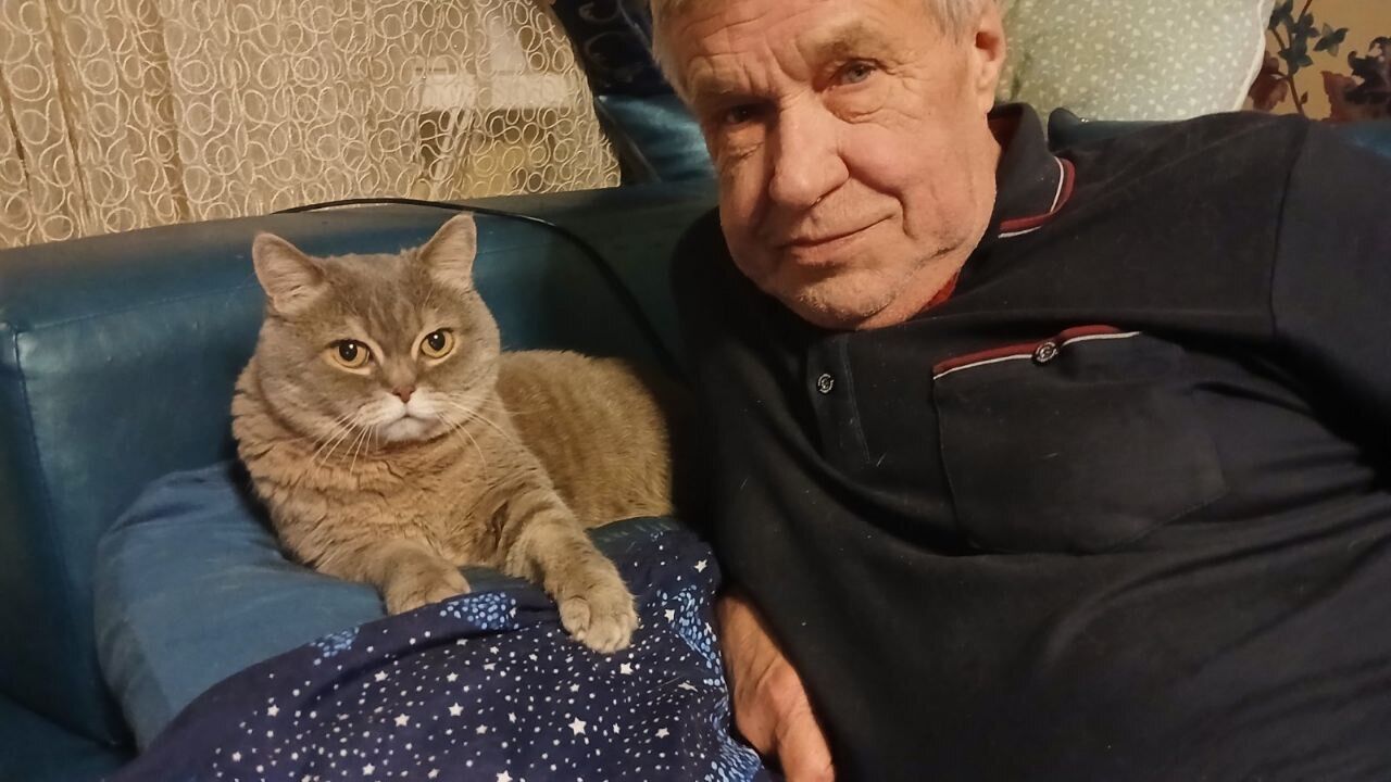  ,   , 72 ,   ,   