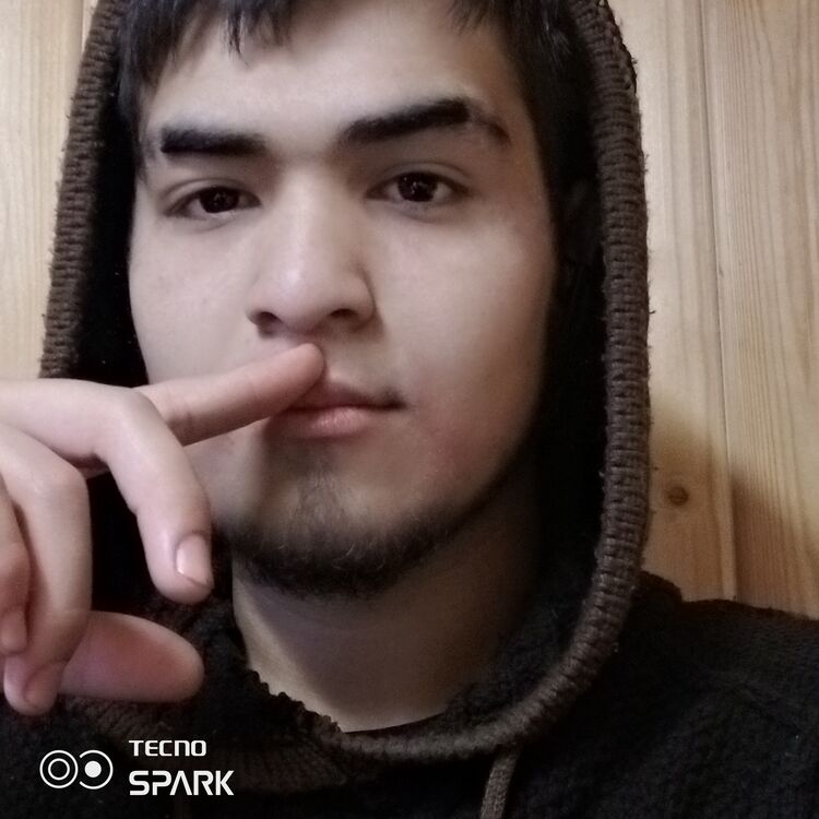  48269886  , 24 ,    