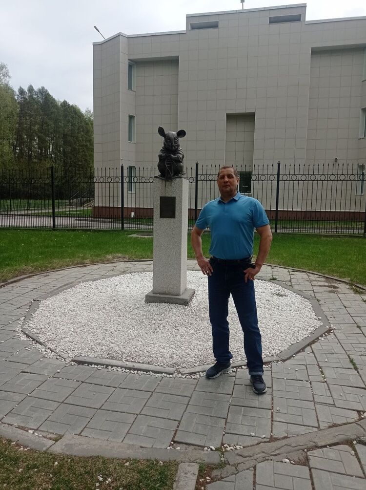 ���� 54960156 ������� ������, 49 ���, ���� ���������� � ������������