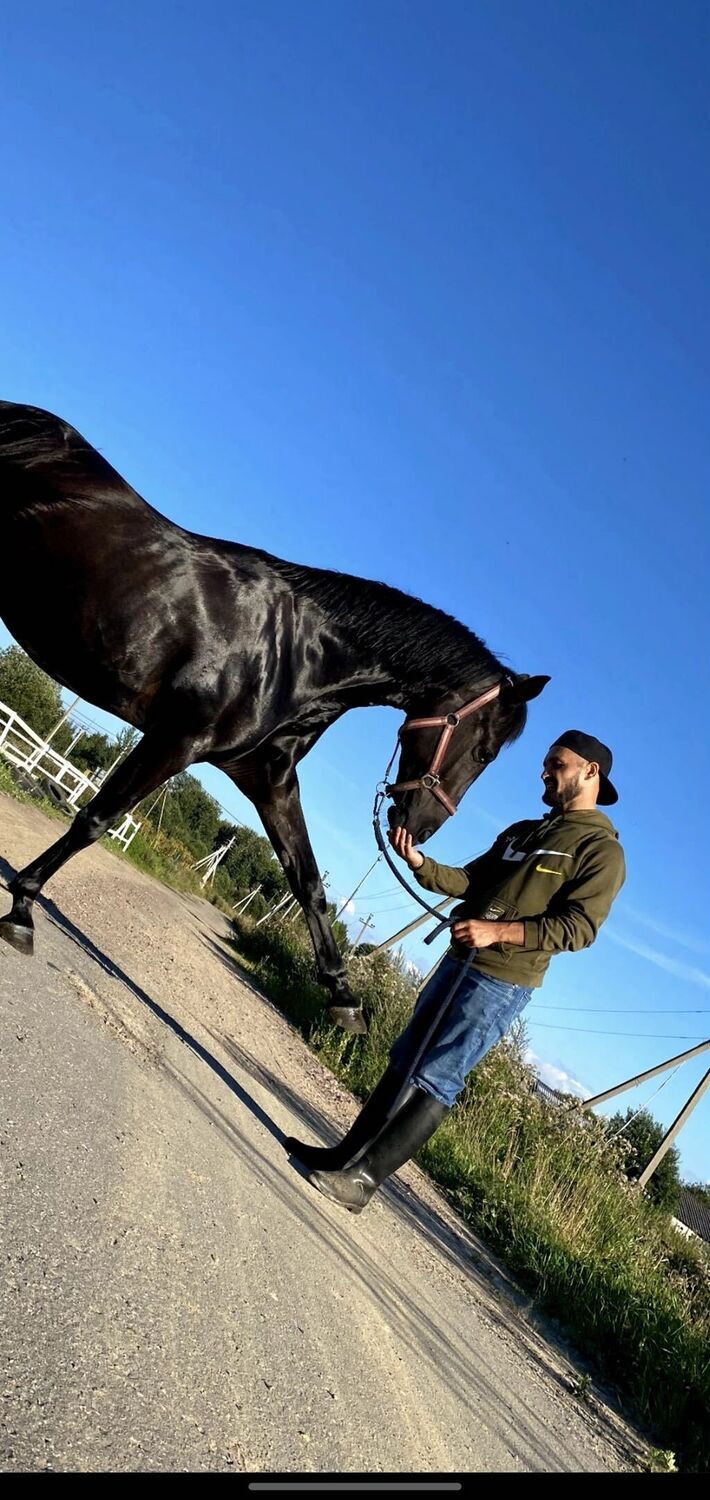 ���������� ���������, ���� ������� �����, 43 ����, ������������ ��� ������, ����� � ���������, c�������� ���������, ���������