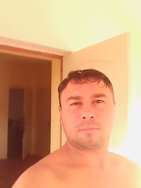  ,   , 38 ,   ,   