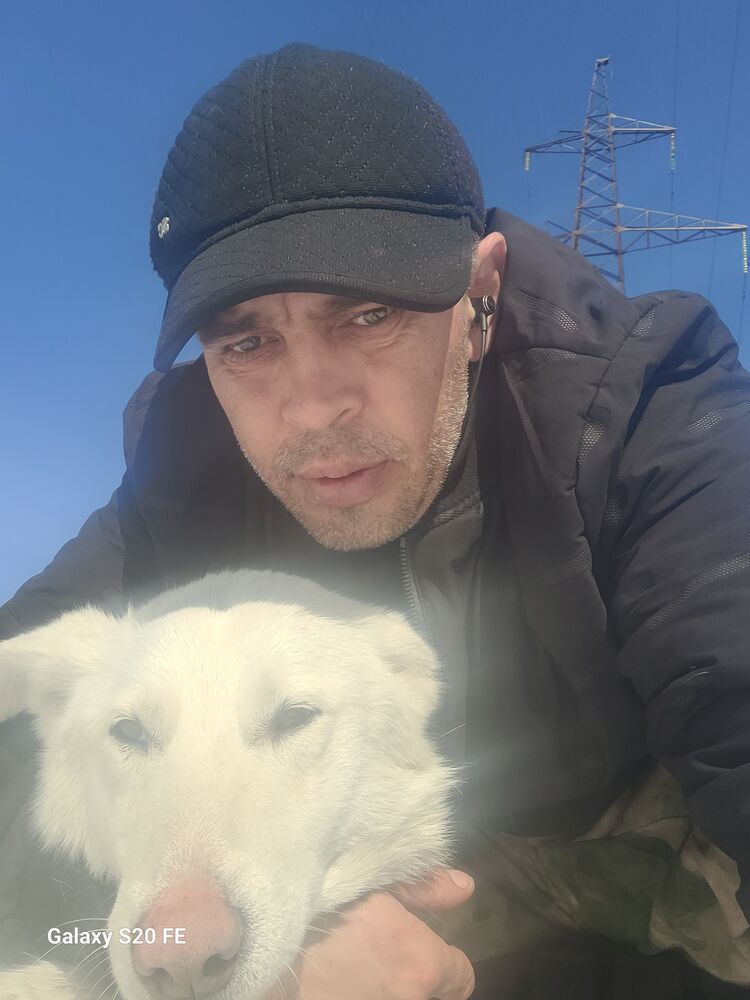  51693716  , 43 ,    -