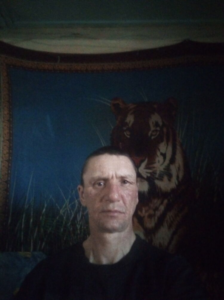  48341736  , 46 ,    
