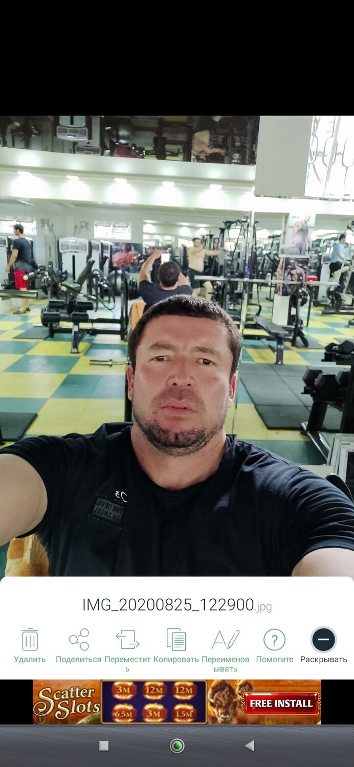 ���� 24431166 ������� �������, 48 ���, ���� ���������� � ��������