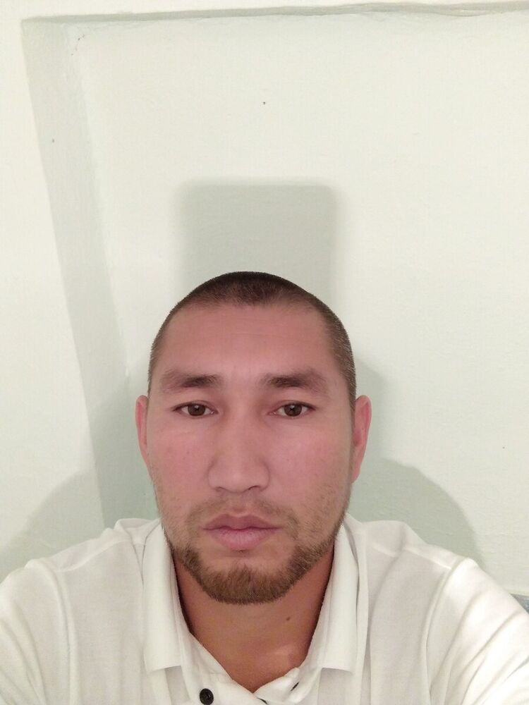 ���� 21004286 ������� ������, 42 ����, ���� ���������� � �������