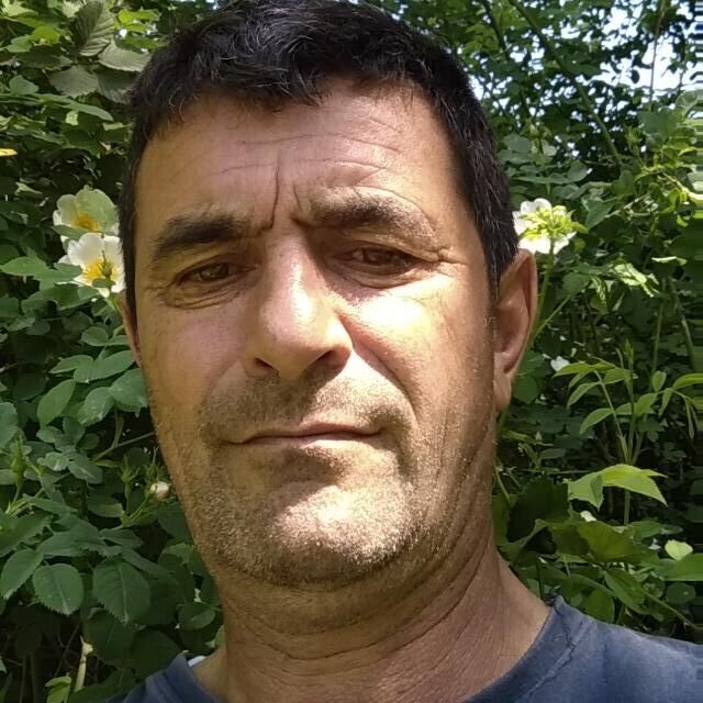  ,   , 49 ,   ,   