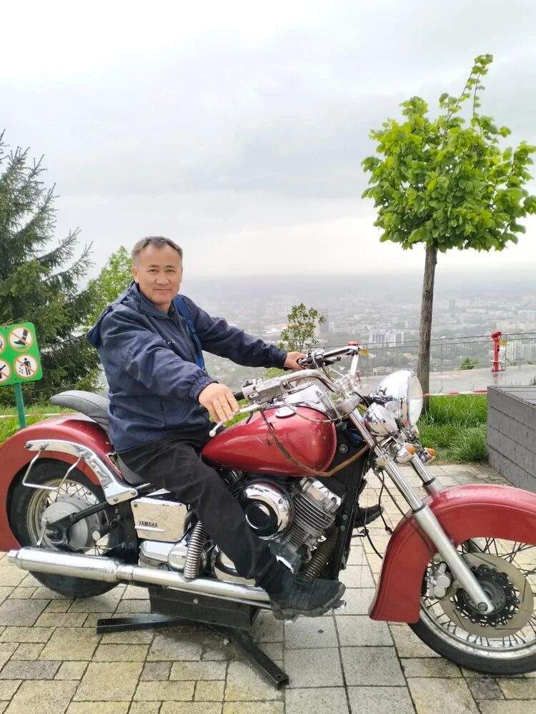 ���� 54971276 ������� �������, 53 ����, ���� ���������� � ������