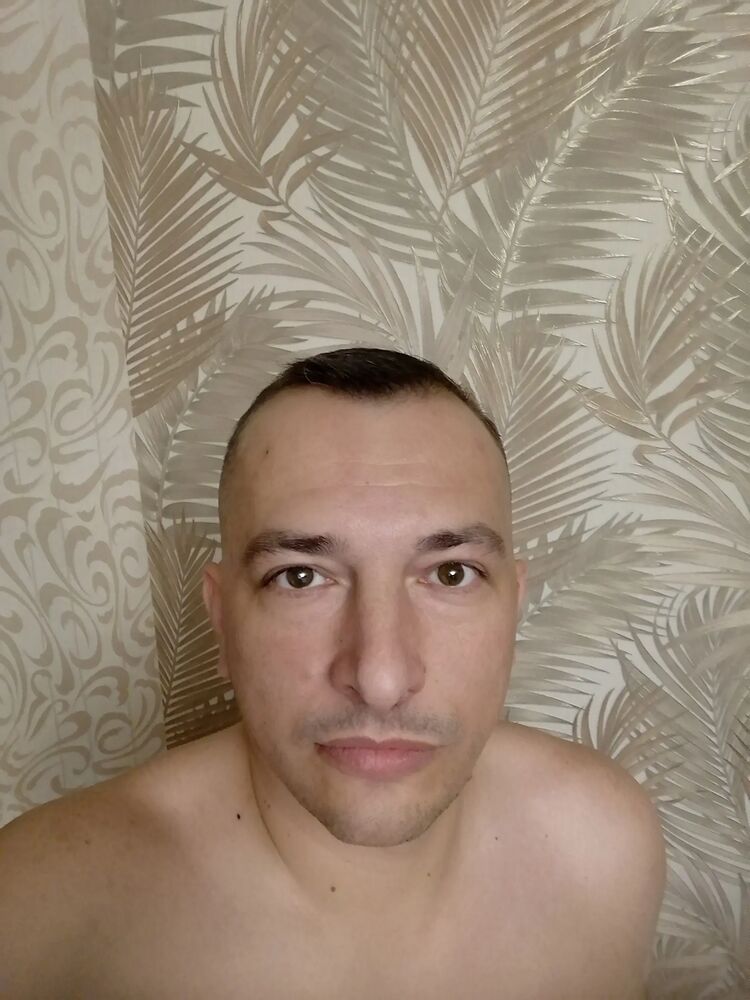  36486456  , 43 ,    