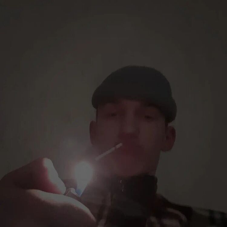  34501516  , 22 ,    