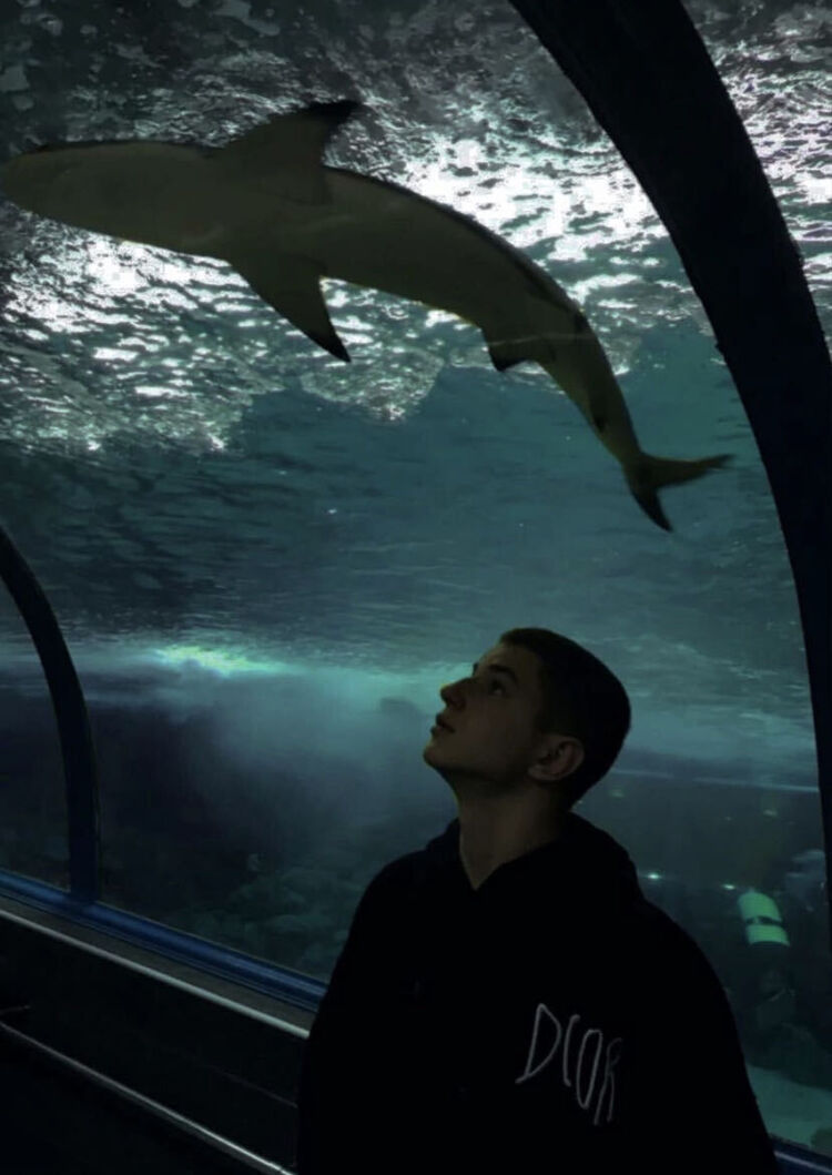 ���������� �����������, ���� ����� �������, 23 ����, ������������ ��� ������, ���������