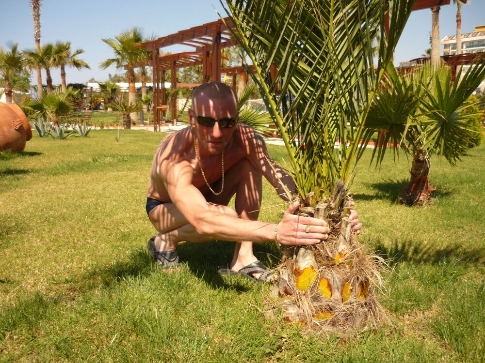 ���������� ������, ���� ������� ����, 46 ���, ������������ ��� ���������