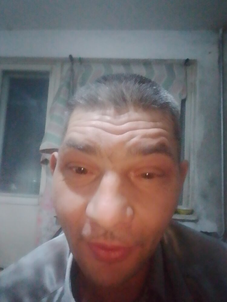 ���� 55043776 ������� �������, 41 ���, ���� ���������� � ������