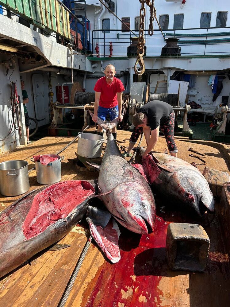 ���������� �����������, ���� ������� ��������, 45 ���, ������������ ��� c�������� ���������