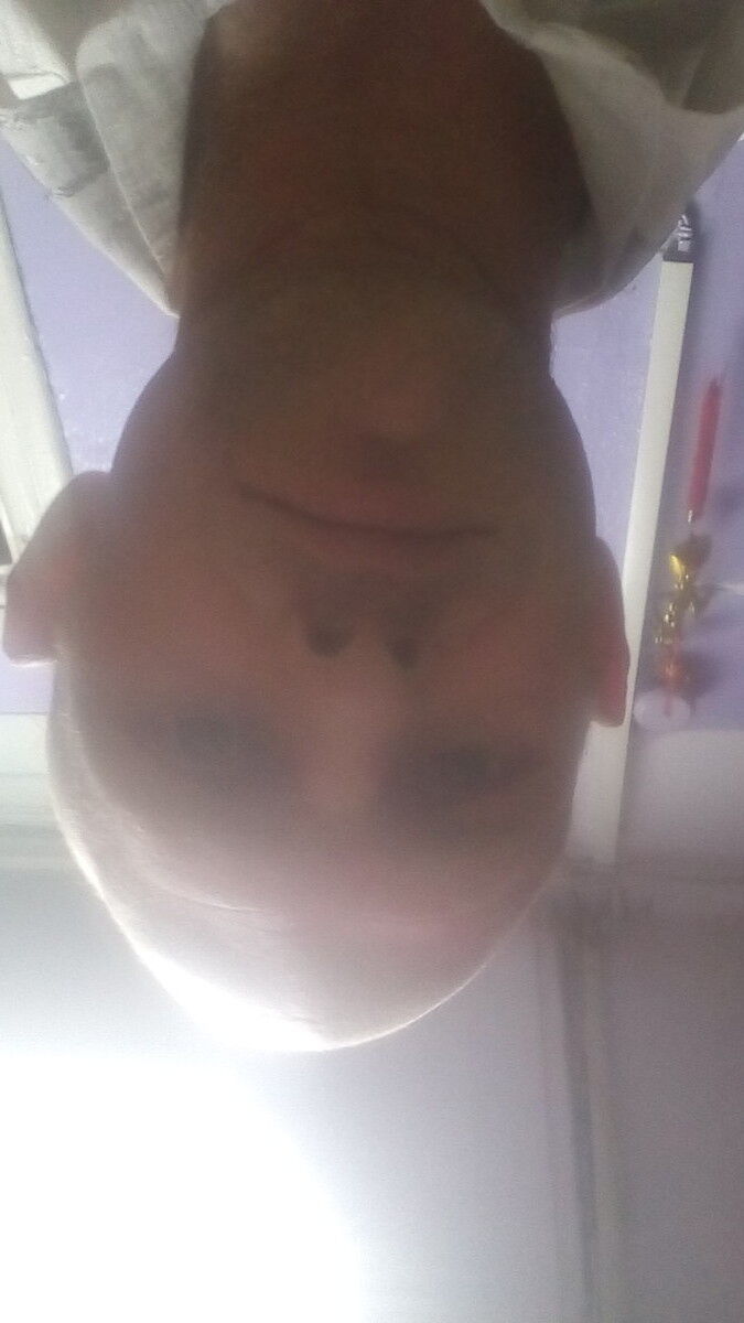  17481666  , 39 ,    