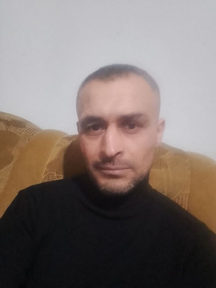  33241056  , 43 ,    