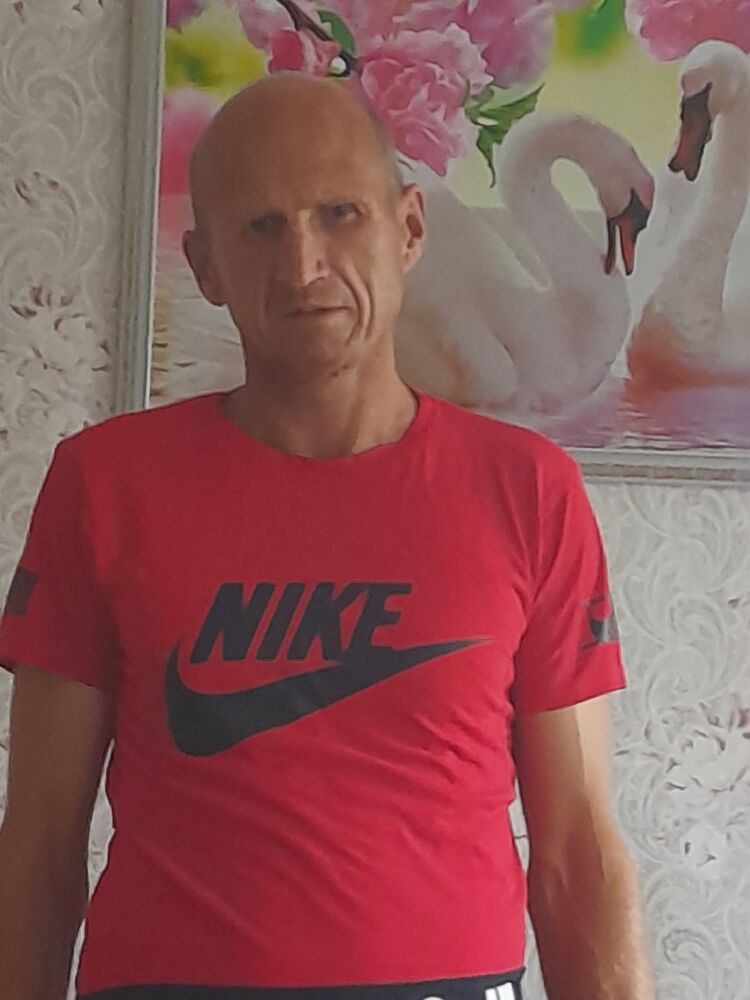  29508446  , 45 ,    