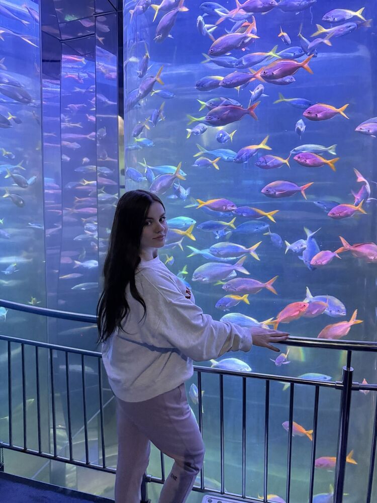 ���������� �����-���������, ���� ������� ��������, 31 ���, ������������ ��� ������, ����� � ���������, c�������� ���������, ���������