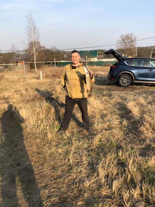 ���� 23147696 ������� ������, 52 ����, ���� ���������� � ������