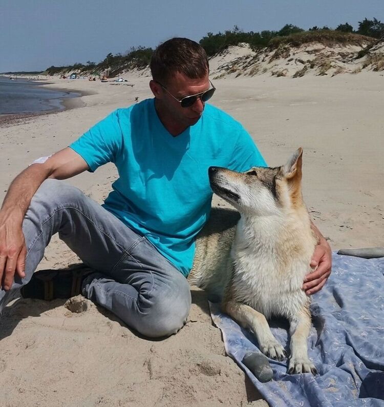 ���� 54888376 ������� ������, 44 ����, ���� ���������� � ������������