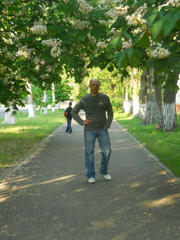  Warszawa,   , 51 ,   ,   