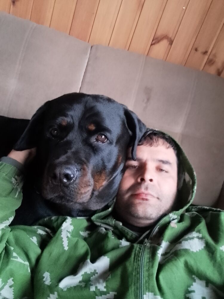 ���� 28707866 ������� �������, 44 ����, ���� ���������� � �����-����������