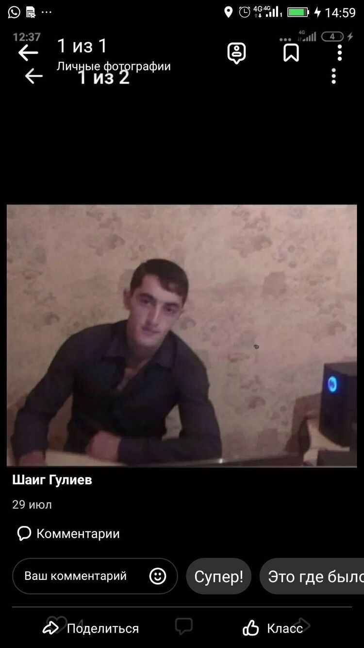 ���� 38442666 ������� ����, 38 ���, ���� ���������� � ���������