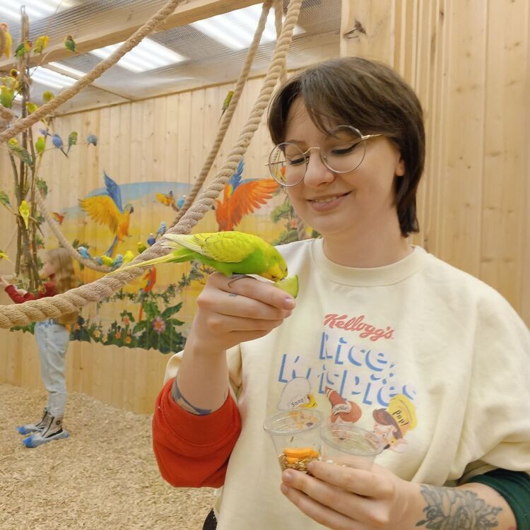 ���� 55773276 ������� ������, 33 ����, ���� ���������� � �����-����������