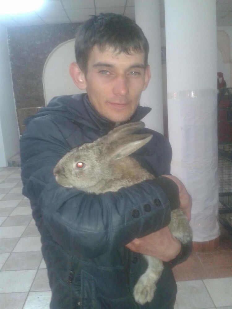  ,   , 34 ,   ,   , c , 