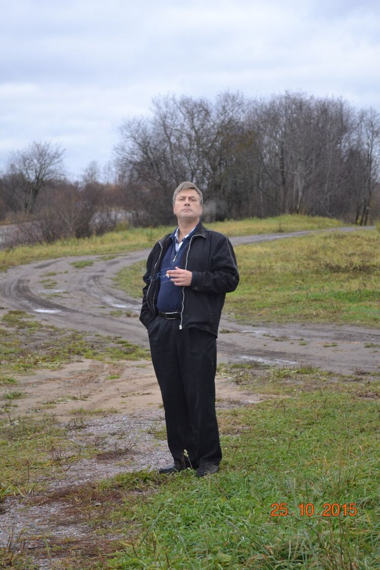  31516606  , 54 ,    -