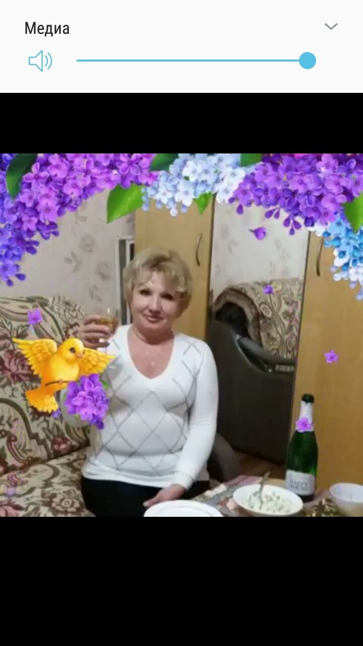  24841236  , 72 ,    