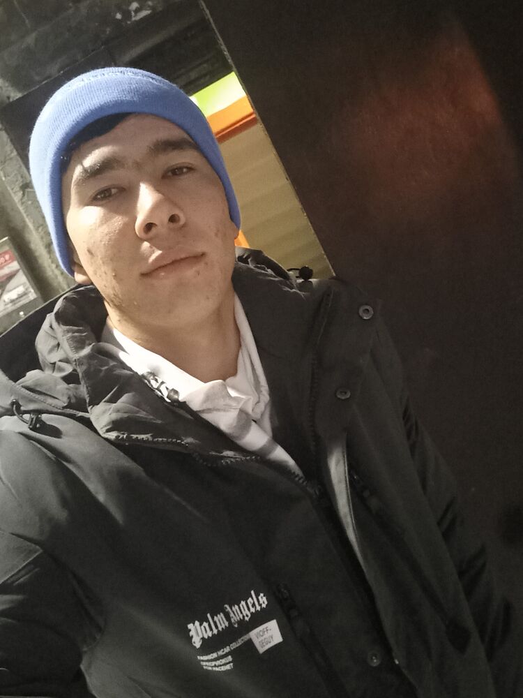 ���� 31379256 ����� ���������, 22 ����, ���� ���������� � ������� ���������